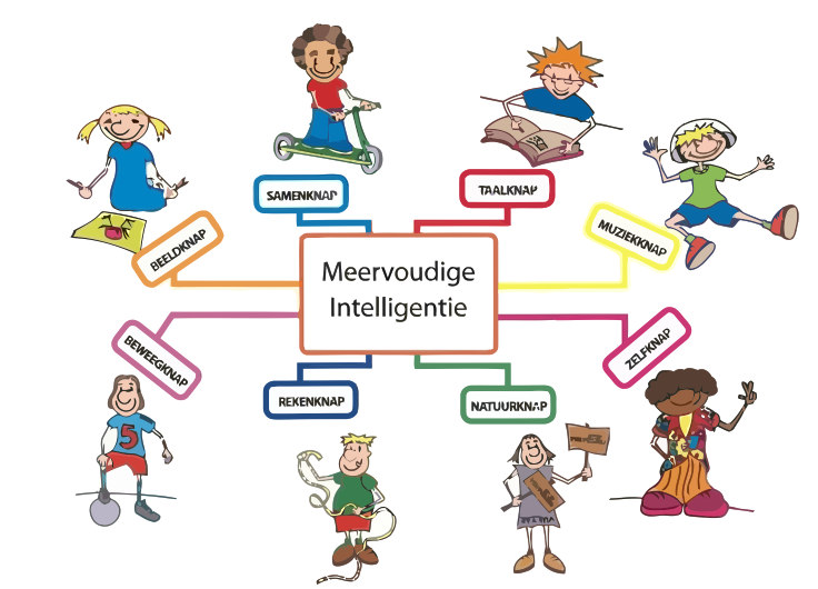 Meervoudige intelligentie